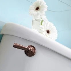 Coupon ???? Moen Sage Oil Rubbed Bronze Tank Lever DN6801ORB ???? -Grohe Shop 4101f2760d5aa43b 9355 w800 h800 b0 p0