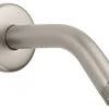 Cheap ✨ Hansgrohe USA Hansgrohe Raindance Showerarm Standard 6" Brushed Nickel ???? -Grohe Shop home design 16